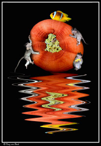 Some changes to an ealier entry.
Monkey bussines the liq... by Dray Van Beeck 